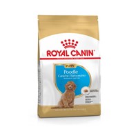 ROYAL CANIN POODLE PUPPY 3KG