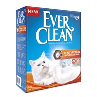 EVERCLEAN FAST ACTING 6LT