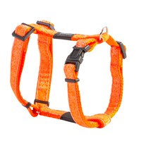 ROGZ ΣΑΜΑΡΑΚΙ FANCY ORANGE SM 23-37CM